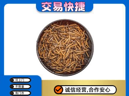 楚雄市高价回收散虫草